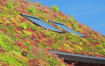 Thrybergh living roof systems
