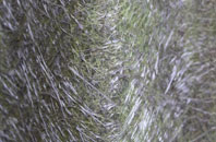 Thrybergh fibreglass roof work